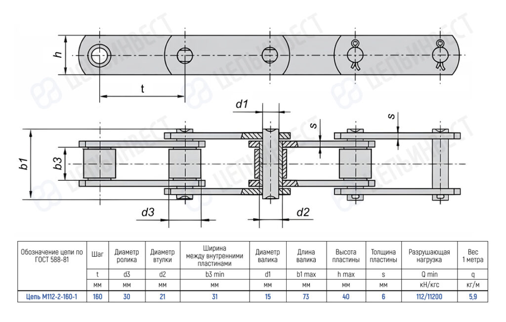 Technical drawing of a chain with rollers and side plates, showing dimensions (t, d3, d2, d1, h, s) and a data table for chain M112-2-160-1 used in machinery
