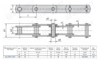 Technical drawing of a roller chain with side and top views, showing dimensions (t, d2, d1, b1, h, s) and a specification table for chain M224-1-200-1 with 200 mm pitch and 30 mm inner width.