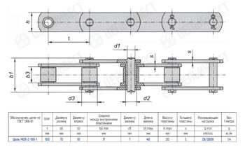 Technical schematic of a roller chain with multiple links shown in top and side views, including dimensioned parameters (pitch, roller diameter, inner width, and plate thickness) and a specification table for chain type M28-2-100-1.