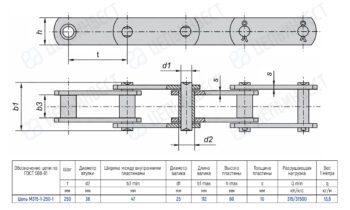 Technical drawing of chain M315-1-250-1 with top and side views and a specifications table.