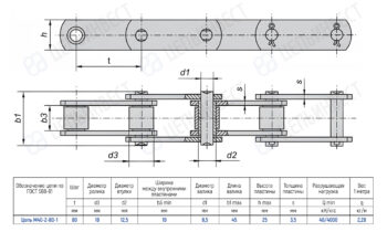 Technical drawing of a roller chain with side and top views, showing dimensions t, d2, d1, h, s, b1, b3, d3 and a spec table (M40-2-80-1) with key values.