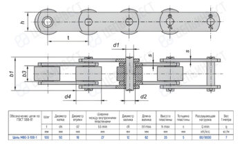Engineering drawing of a roller chain with two views and a dimension table for chain type M80-3-100-1.