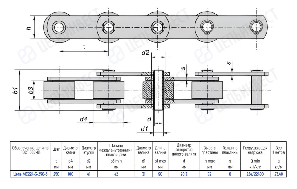 Technical drawing of a roller chain conveyor (model MC224-3-250-3) showing top and side views with dimension lines and a specification table.