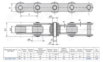 Technical drawing of a roller chain with four links, shown in top and side views, with dimension marks (t, d2, h, b3, d1, d, d4) and a specification table for chain MS56-3-100-3 (GOST 588-81).