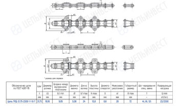 Technical drawing of a roller chain with multiple views and a dimension table.