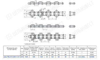 Technical drawing of a roller chain with side and top views and a Russian specification table.