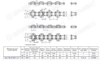 Technical drawing of a roller chain with top, side, and end views, plus a detailed specification table listing chain dimensions (pitch, inner width, pin/roller diameters, overall length, and load).