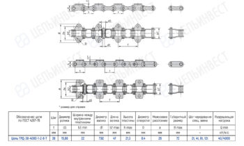 Roller chain diagram (top, side, end views) with a Russian dimensions table for model TRD-38-4000-1-2-8-7