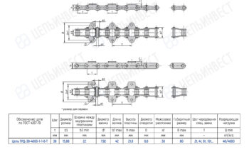 Technical drawing of a roller chain with multiple views (top, side, end) and a Cyrillic dimension table detailing pitch, width, and hole sizes.