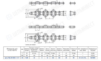 Technical drawing of a roller chain with multiple views and a dimension table in Russian, showing pitch, width, and plate details to convey design.