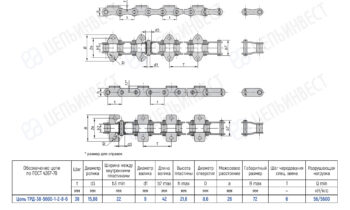 Technical drawing of TRD chain with dimensioned views and a specification table: pitch 38 mm; roller diameter 15.88 mm; width between inner plates 22 mm; shaft diameter 9 mm; pin length 42 mm; plate height 21.6 mm; bore diameter 8.6 mm; center distance 26 mm; overall width 72 mm; alternating pitch 6; breaking load 56 kN (5600 kgf).