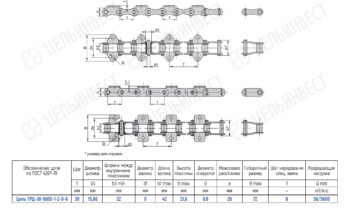 Technical drawing of a multi-link roller chain (TRD-38-5600-1-2-8-8) with top, side, and end views and a dimensions table.