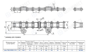Technical drawing of a roller chain with top and side views, showing dimensions and a parts table (TRD-38-5600-3-10-2).