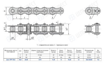 Technical drawing of a two-connector conveyor chain with dimensions and a specifications table.
