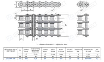 Engineering drawing of a roller chain assembly with side and end views, showing link spacing, plate widths, and a specification table.