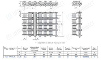 Engineering drawing of a twin-rail chain conveyor with linkage chain, shown in top and side views with a dimensioned specification table in Russian.