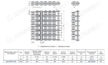 Technical drawing of a multi-roller chain with top and side views and a dimension table.
