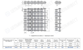 Technical drawing of a roller chain with top, side, and end views showing dimensions and link layout; includes a parts table with 6T-44,45 parameters.