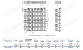Technical drawing of a roller chain with three views (top, side, end) and a dimension table in Russian, showing link and plate measurements and load specs.
