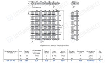 Technical drawing of a two-row roller chain with top, side, and end views, showing link dimensions and a specification table (pitch, roller diameter, plate widths, and load).