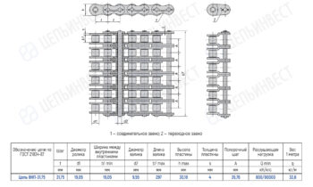 Technical drawing of a multi-roller chain with side and top views and a dimensioned specification table (pitch 31.75 mm, roller Ø19.05 mm, plate height 30.18 mm, load 800/8000 N, weight 33.6 kg/m).