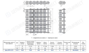 Technical drawing of a roller chain conveyor with top, side, and end views and a Russian specifications table detailing chain dimensions and load ratings.