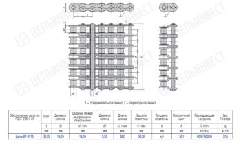 Technical drawing of a roller chain with top, side, and end views, showing links, rollers, pins, and a detailed dimension table for chain 8T-31,75 (pitch, diameters, widths, and load data).