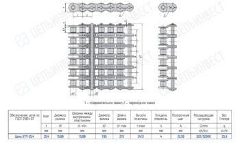 Technical drawing of a conveyor chain with multiple linked rollers, shown top, side, and end views, with dimension callouts and a specification table for chain 8ПТ-25,4 (ГОСТ 21834-87).